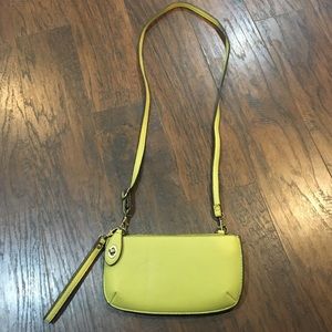 Light Lime Green Purse